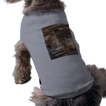 CaracalBCR034 pet clothing by BCRcats CaracalBCR034 pet clothing