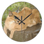 CaracalBCR044 Round Clocks