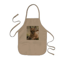 CaracalBCR058 aprons