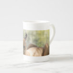 CaracalBCR058 Porcelain Mugs