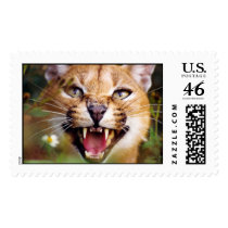 CaracalSassy postage