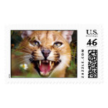 CaracalSassy postage