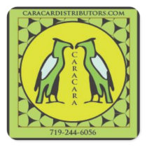 caracara square sticker