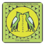 caracara square sticker