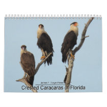 Caracaras of Florida Calendars