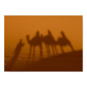 CARAVAN SHADOW, Sahara Desert, Morocco posters by MeganMeetsWorld CARAVAN SHADOW, Sahara Desert, Morocco posters