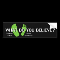 Carbon Footprint and Bigfoot Track bumper stickers