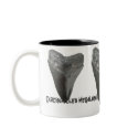Carcharocles megalodon Tooth mugs by Fairyscape Carcharocles megalodon Tooth mugs