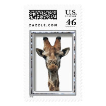 card590 postage