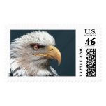 card617 stamp