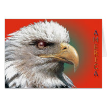 card944 by REDINARD card944