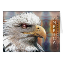 card953 by REDINARD card953
