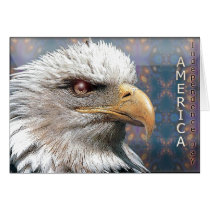 card954 by REDINARD card954
