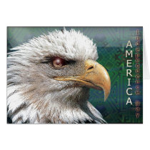card955 by REDINARD card955