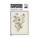 Card-002 stamps