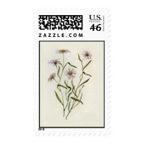 Card-002 Stamps