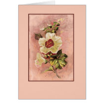 Card-006