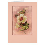 Card-006