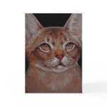 Card - Abby Cat