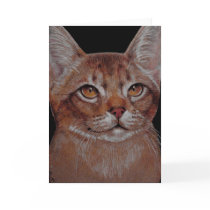 Card - Abby Cat