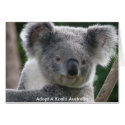 Card Adopt A Koala Australia