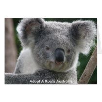 Card Adopt A Koala Australia by shanmaree Card Adopt A Koala Australia