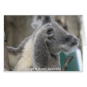 Card Adopt A Koala Australia Paw