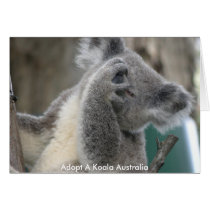 Card Adopt A Koala Australia Paw by shanmaree Card Adopt A Koala Australia Paw