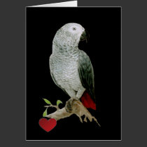 Card - African Grey Parrot
