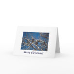 Card / An Eagle Christmas