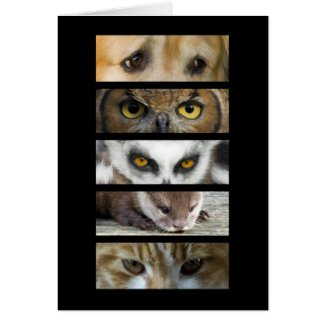Card - Animals Eyes zazzle_card