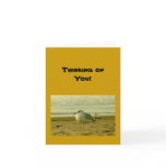 Card - blank - seagull - Thinking of You!