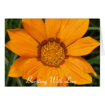 Card Bright Yellow Burst Flower Love by shanmaree Card Bright Yellow Burst Flower Love