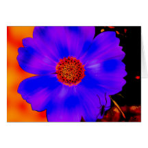 Card Bright Yellow Orange Blue Flower