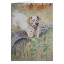 card - Captivating - Clumber Spaniel