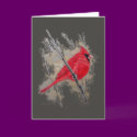 Card - Cardinal 