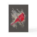 Card - Cardinal 