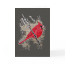 Card - Cardinal by pawtraitart Card - Cardinal