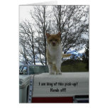 Card-Cat standing on camper shell of pick-up truck