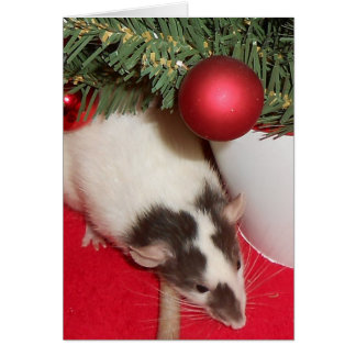 santa rat gifts on zazzle santa rat gifts on zazzle
