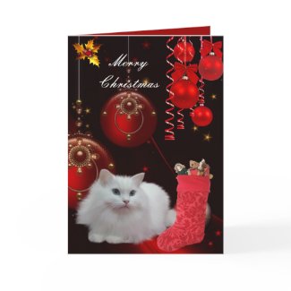 Card Christmas Xmas Cat card