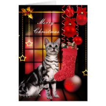 Card Christmas Xmas Cat