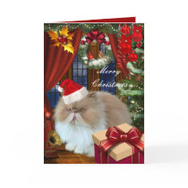 Card Christmas Xmas Cat Hat