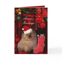 Card Christmas Xmas Cat Hat