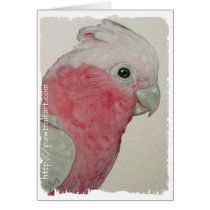 Card - Cockatoo by pawtraitart Card - Cockatoo