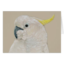Card - Cockatoo by pawtraitart Card - Cockatoo