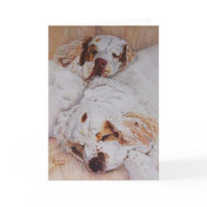 card - Comfort - Two Clumber Spaniels card