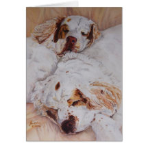 card - Comfort - Two Clumber Spaniels