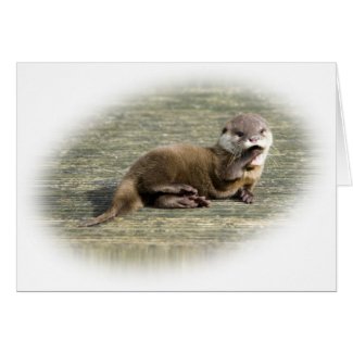 Card - Cute Baby Otter Yawning card