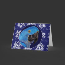 Card - Decorative Holiday Hyacinth Macaw